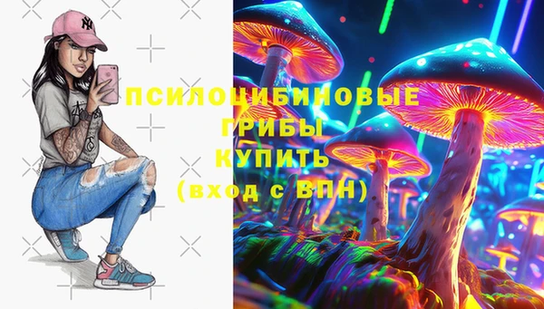 стаф Заводоуковск