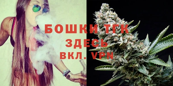 стаф Заводоуковск
