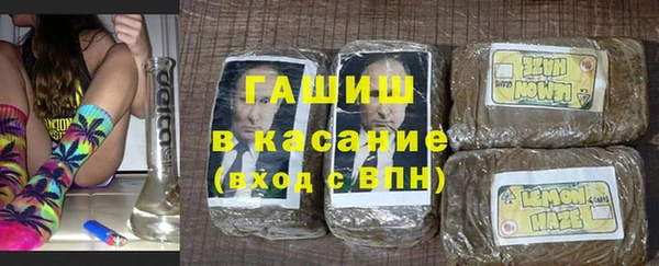 стаф Заводоуковск