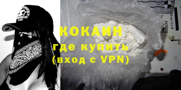 стаф Заводоуковск