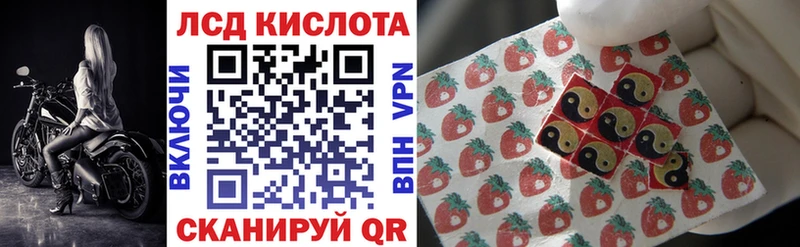 где купить наркоту  Нюрба  Наркотические марки 1,8мг 